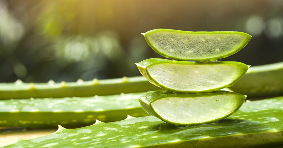 Aloe Vera, un aliat de frumusete fara egal